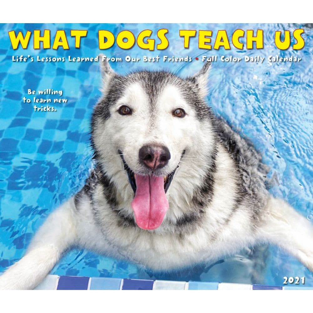 What Dogs Teach Us Desk Calendar