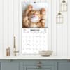 image Curious Kittens 2025 Wall Calendar