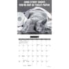 image Cat Astrophe 2026 Mini Wall Calendar Second  Alternate Image