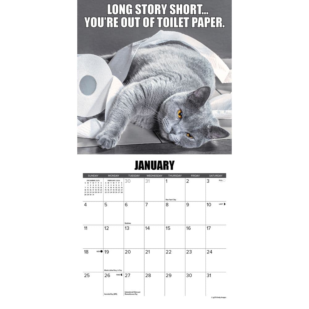 Cat Astrophe 2026 Mini Wall Calendar Second  Alternate Image