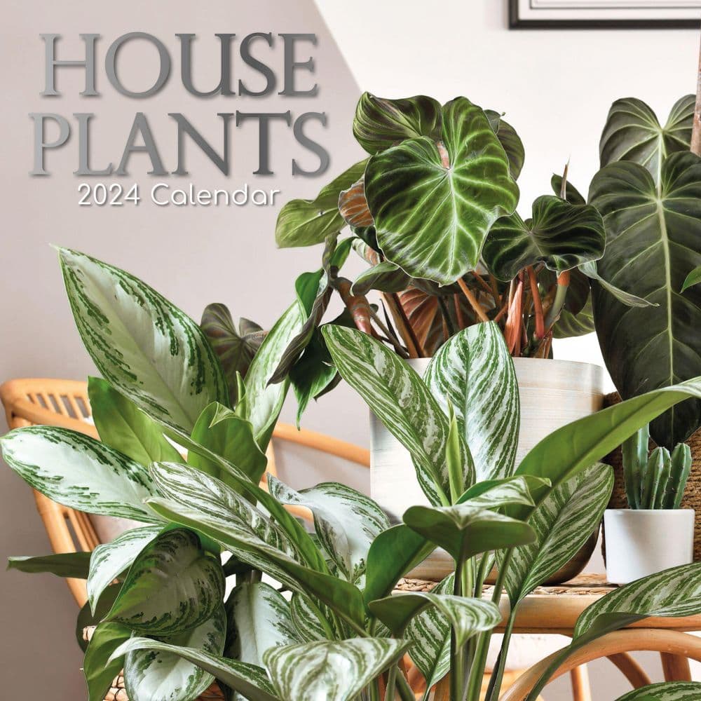 2024 House Plants - Square Wall Calendar