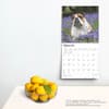 image English Bulldogs 2025 Wall Calendar