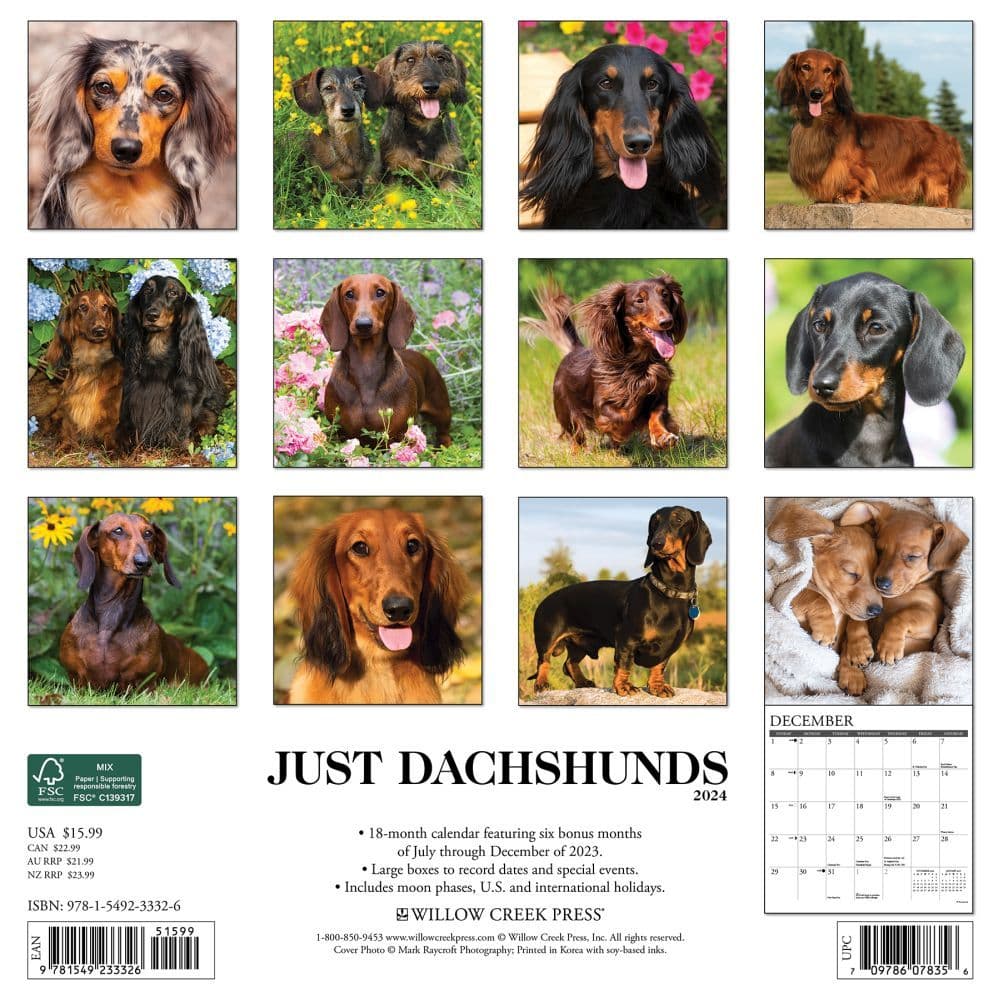 National Dachshund Day 2025 Calendar