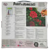 image Kinkade Red Rose Paint by Number Kit