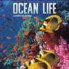 image Ocean Life 2025 Wall Calendar Main Product Image width=&quot;1000&quot; height=&quot;1000&quot;