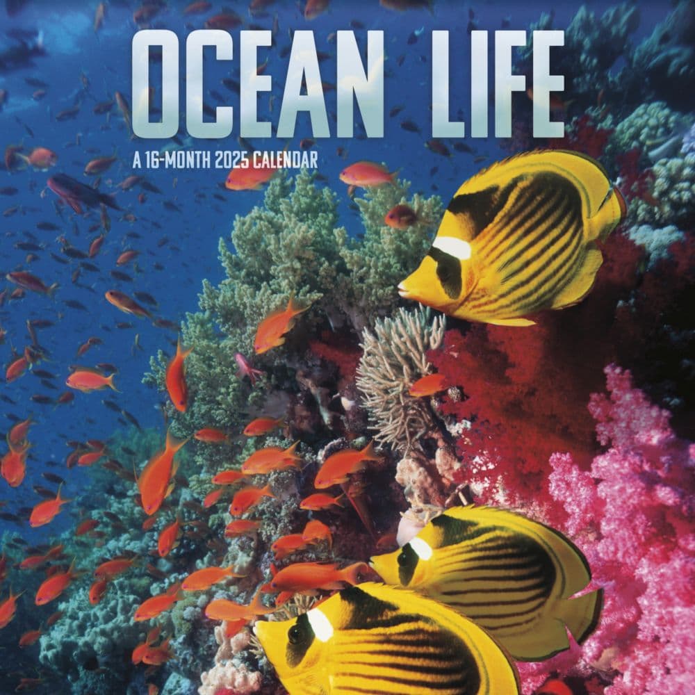 Ocean Life 2025 Wall Calendar Main Product Image width=&quot;1000&quot; height=&quot;1000&quot;