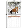 image Wildlife 2026 Wall Calendar_ALT5