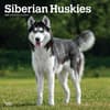 image Siberian Huskies 2025 Wall Calendar Main Product Image width=&quot;1000&quot; height=&quot;1000&quot;