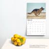 image German Shepherds Deluxe 2025 Wall Calendar Fourth Alternate Image