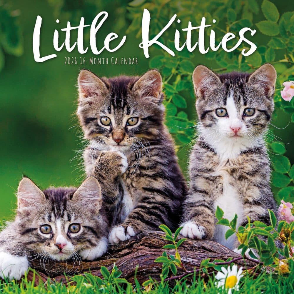 Just Kittens 2026 Wall Calendar  Main Image