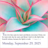 image Bible Verses 2025 Page-a-Day Desk Calendar Fourth Alternate Image