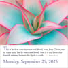 image Bible Verses 2025 Desk Calendar Third Alternate Image width=&quot;1000&quot; height=&quot;1000&quot;