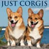 image Just Corgis 2025 Wall Calendar Main Image