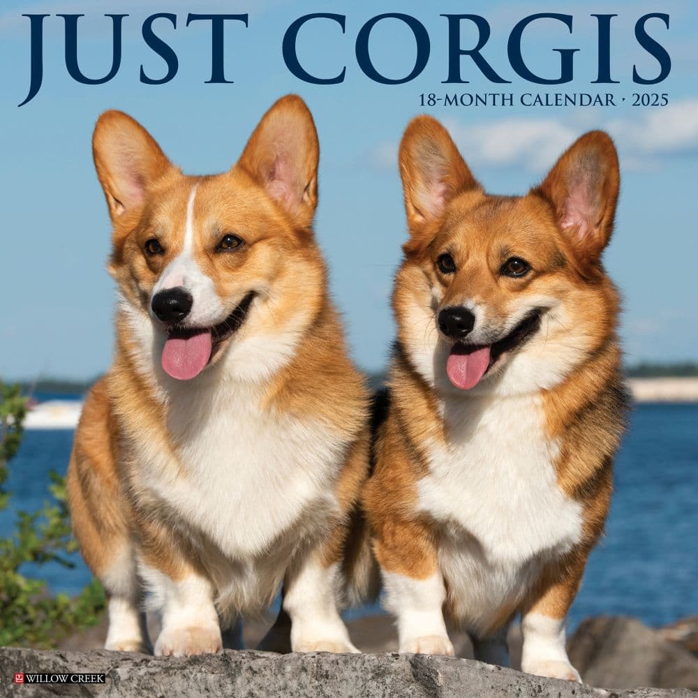 Just Corgis 2025 Wall Calendar Main Image