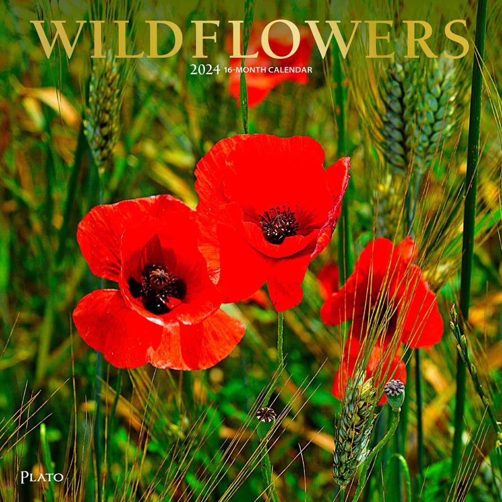Wildflowers 2024 Wall Calendar Main Product Image width=&quot;1000&quot; height=&quot;1000&quot;