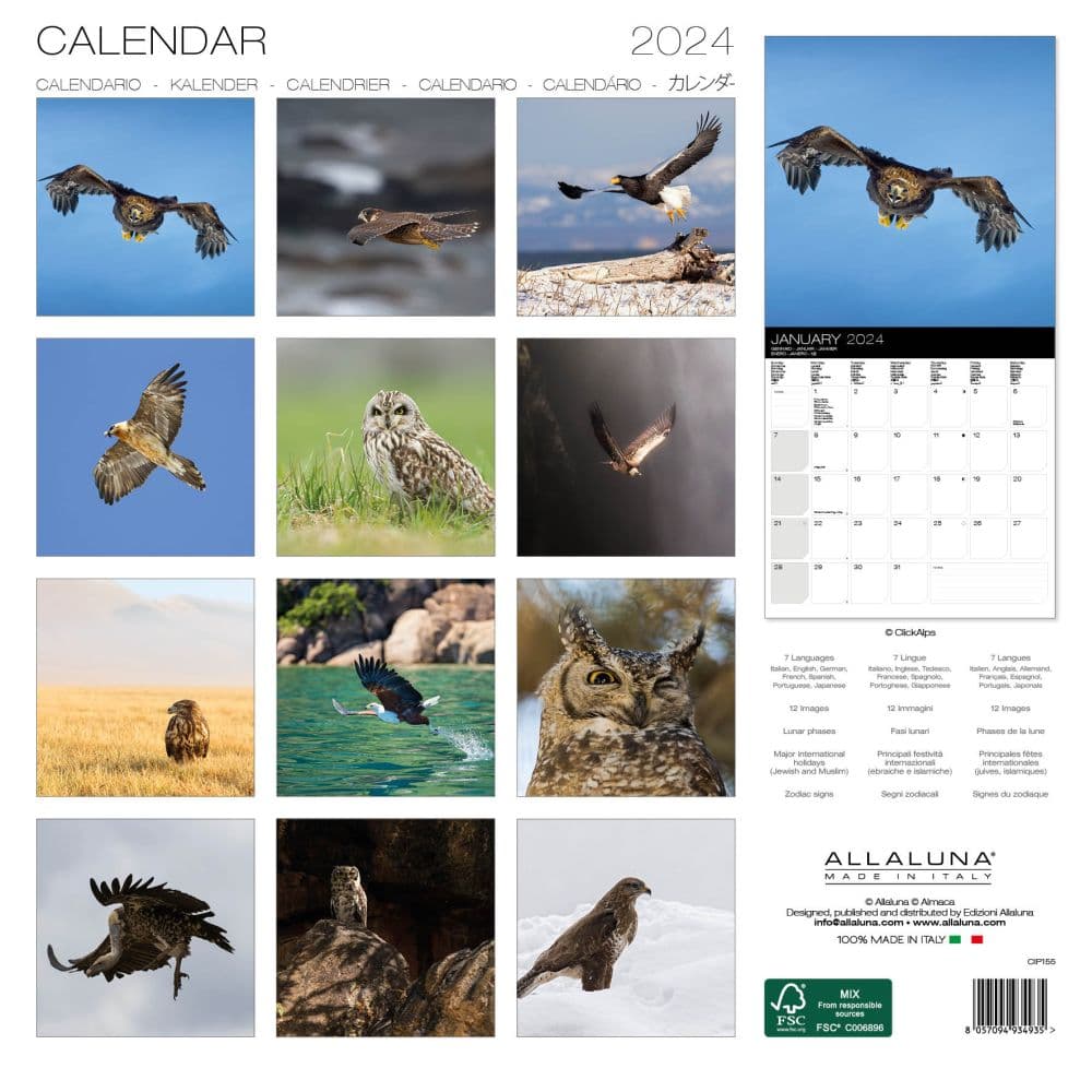 Raptors 2024 Wall Calendar