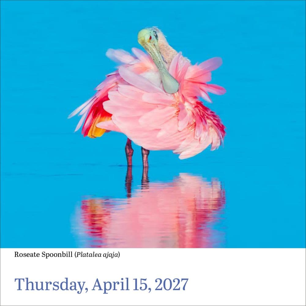 Audubon Birds 2027 Page-A-Day Desk Calendar Third Alternate Image