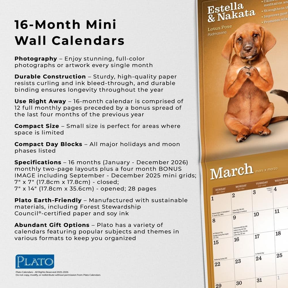 Yoga Puppies and Kittens 2026 Mini Wall Calendar Fifth Alternate Image