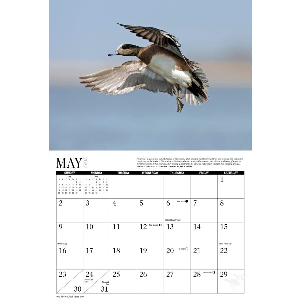 Waterfowl 2027 Wall Calendar Second Alternate Image