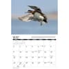 image Waterfowl 2027 Wall Calendar Second Alternate Image