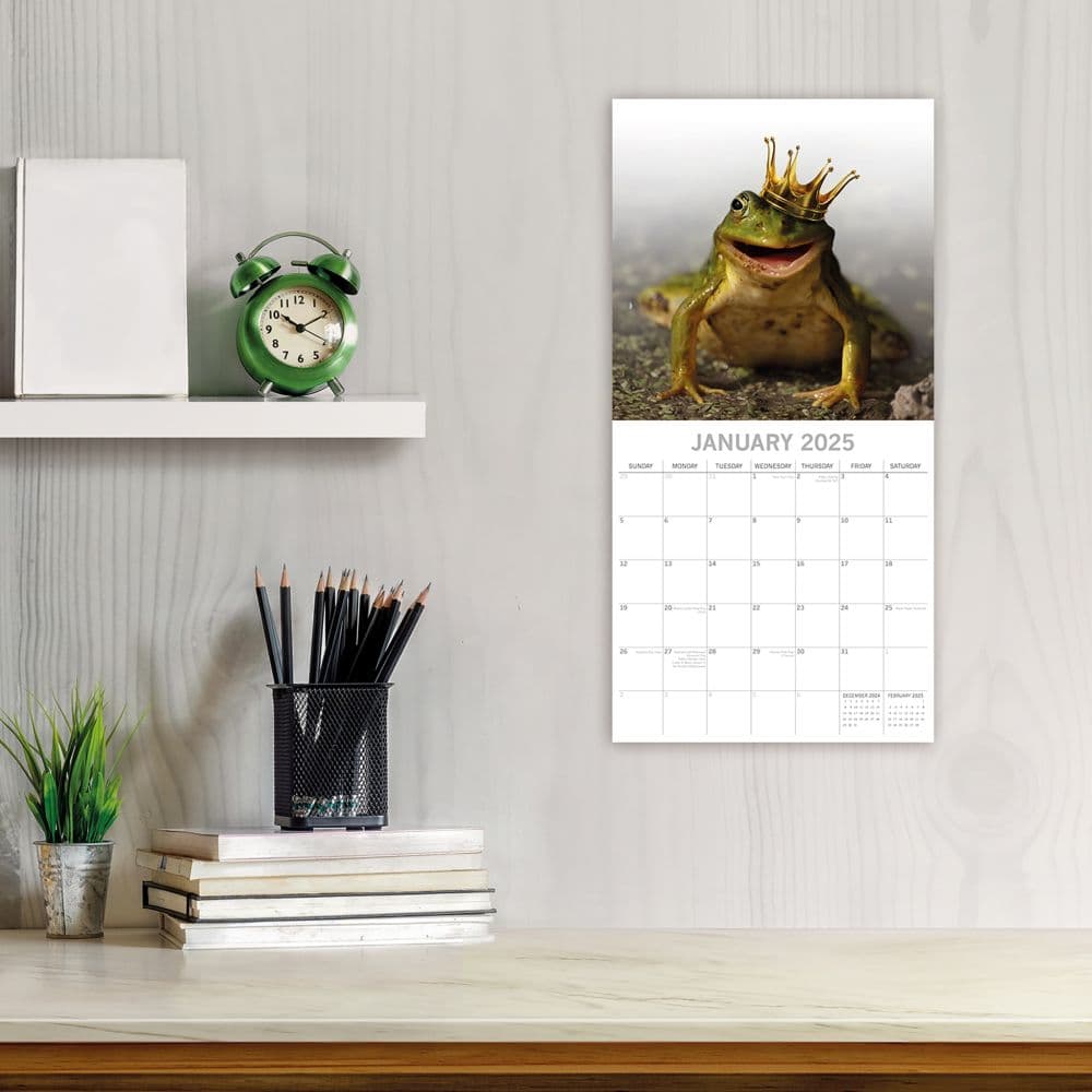 Fabulous Frogs 2025 Wall Calendar Second Alternate Image width=&quot;1000&quot; height=&quot;1000&quot;