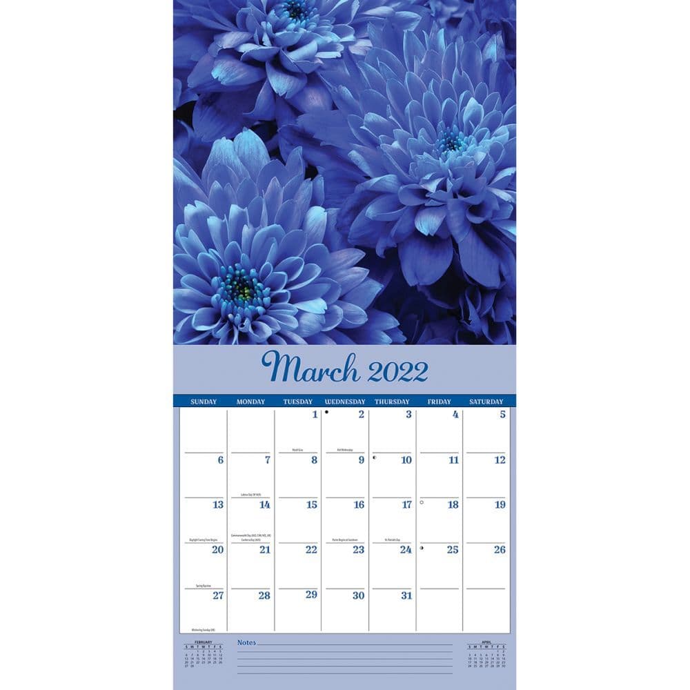 Flowers 2022 Wall Calendar - Calendars.com