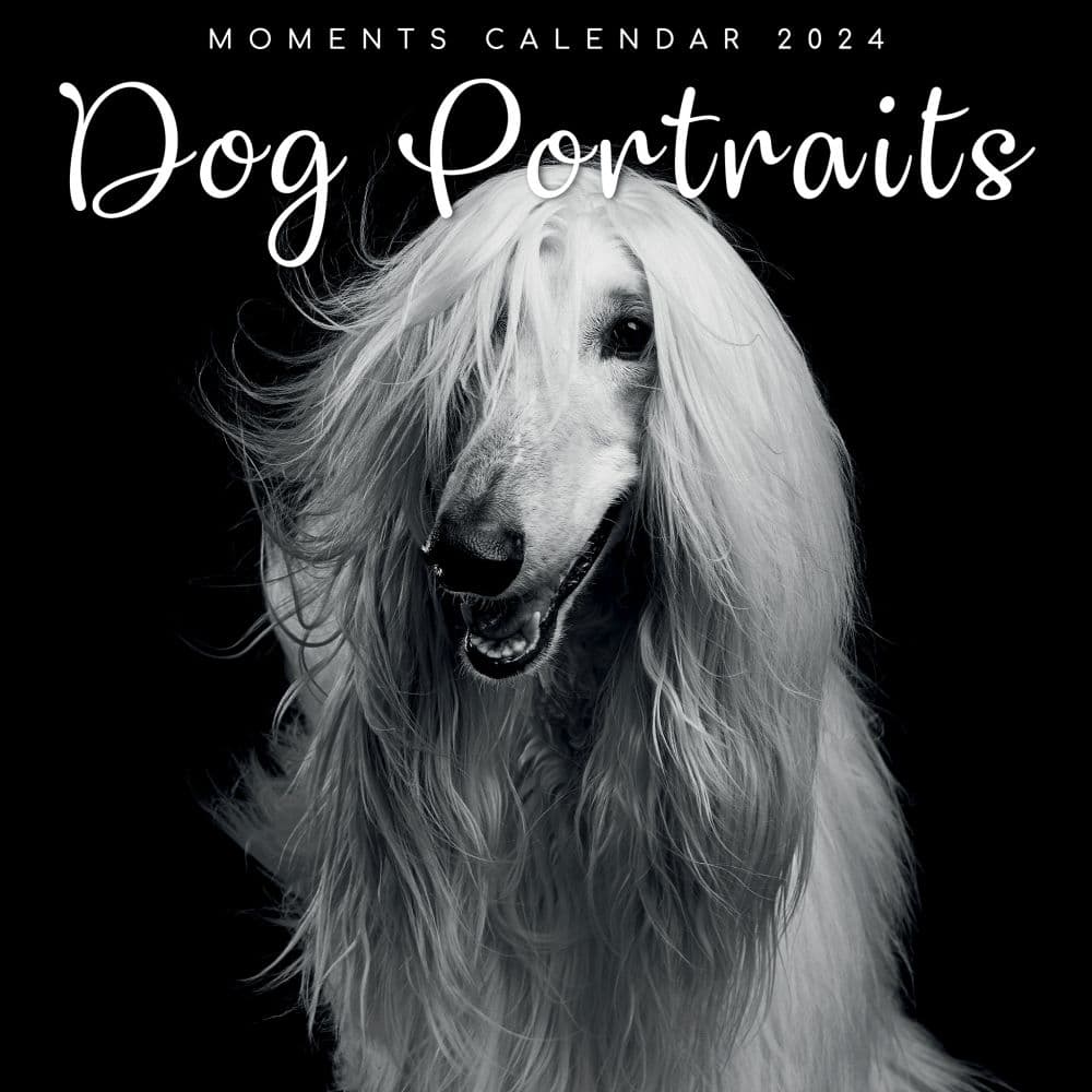 Dog Portraits 2024 Wall Calendar Calendars Com   636b7349 Bcd7 4ef3 96e9 351d0921c076