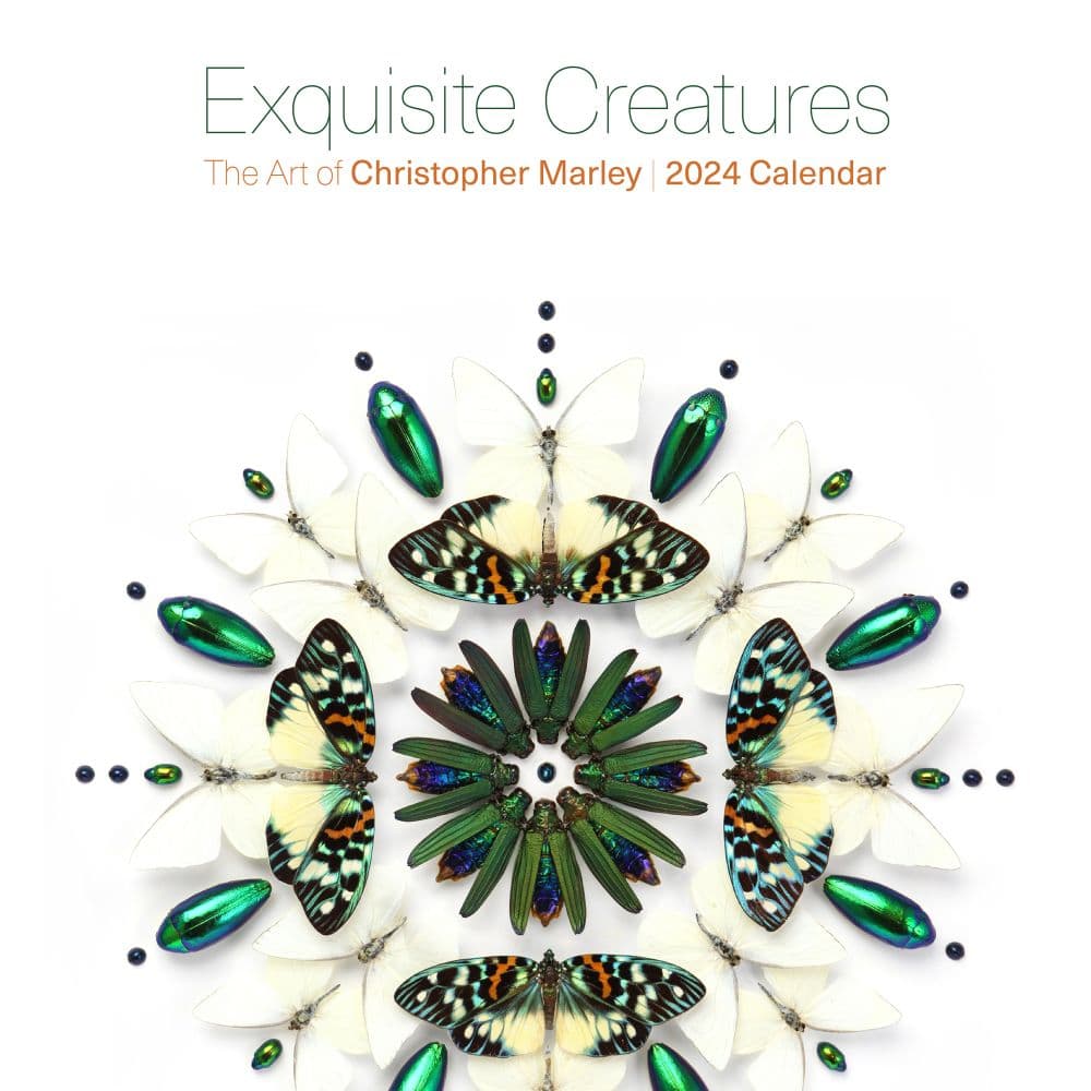 Exquisite Creatures 2024 Wall Calendar