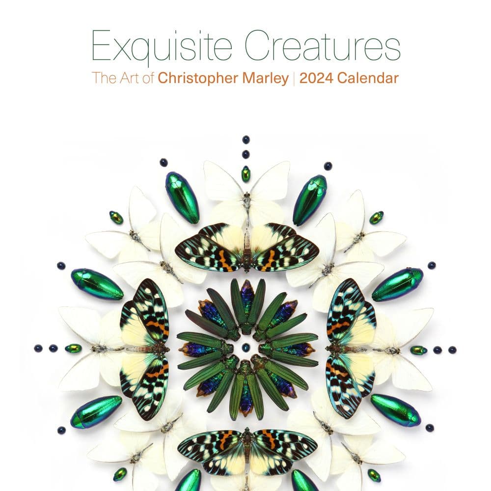 Exquisite Creatures 2024 Wall Calendar_Main Image