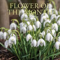 image Flower of the Month 2026 Wall Calendar Main Image
