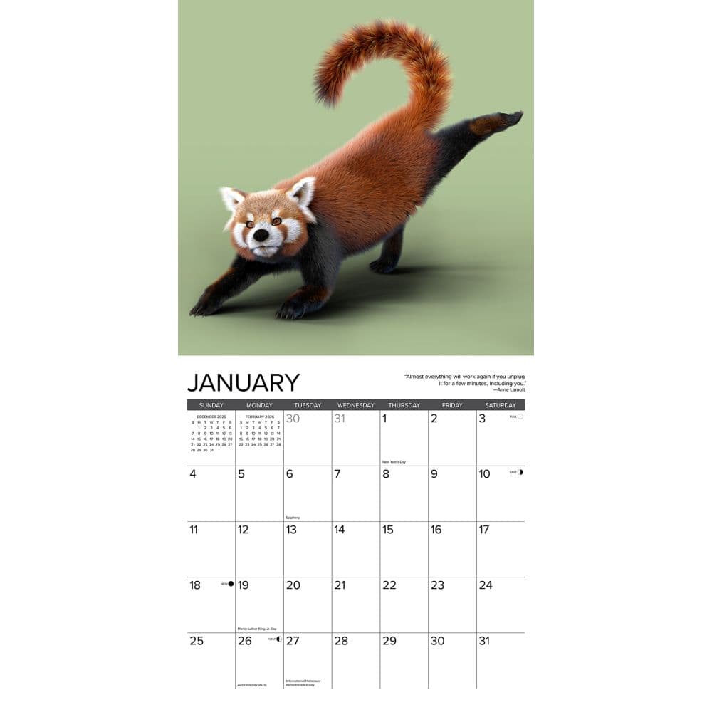 Red Panda Yoga 2026 Wall Calendar Second Alternate Image