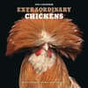 image Extraordinary-Chickens-2024-Wall-Calendar-Main