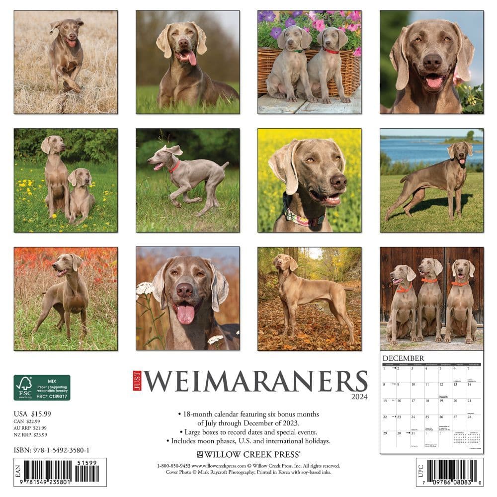 Just Weimaraners 2024 Wall Calendar