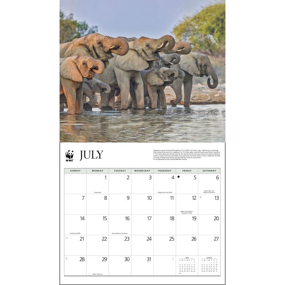 Elephants WWF 2024 Wall Calendar