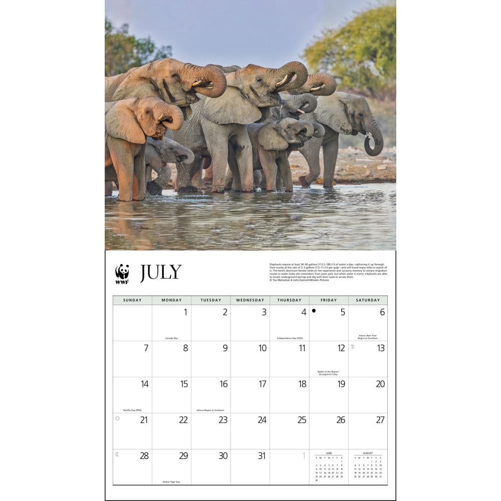 elephants-wwf-2024-wall-calendar-alt2
