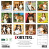 image Just Shelties 2025 Wall Calendar First Alternate Image width=&quot;1000&quot; height=&quot;1000&quot;