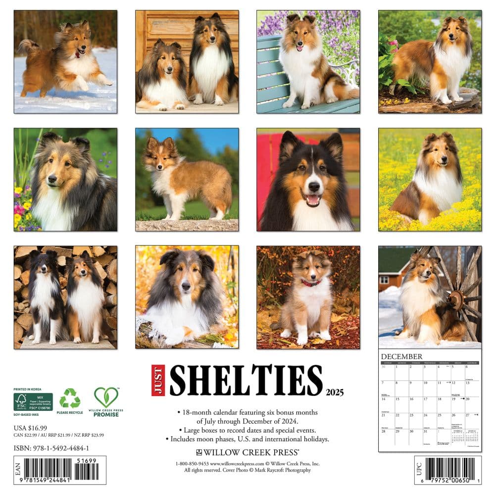 Just Shelties 2025 Wall Calendar First Alternate Image width=&quot;1000&quot; height=&quot;1000&quot;