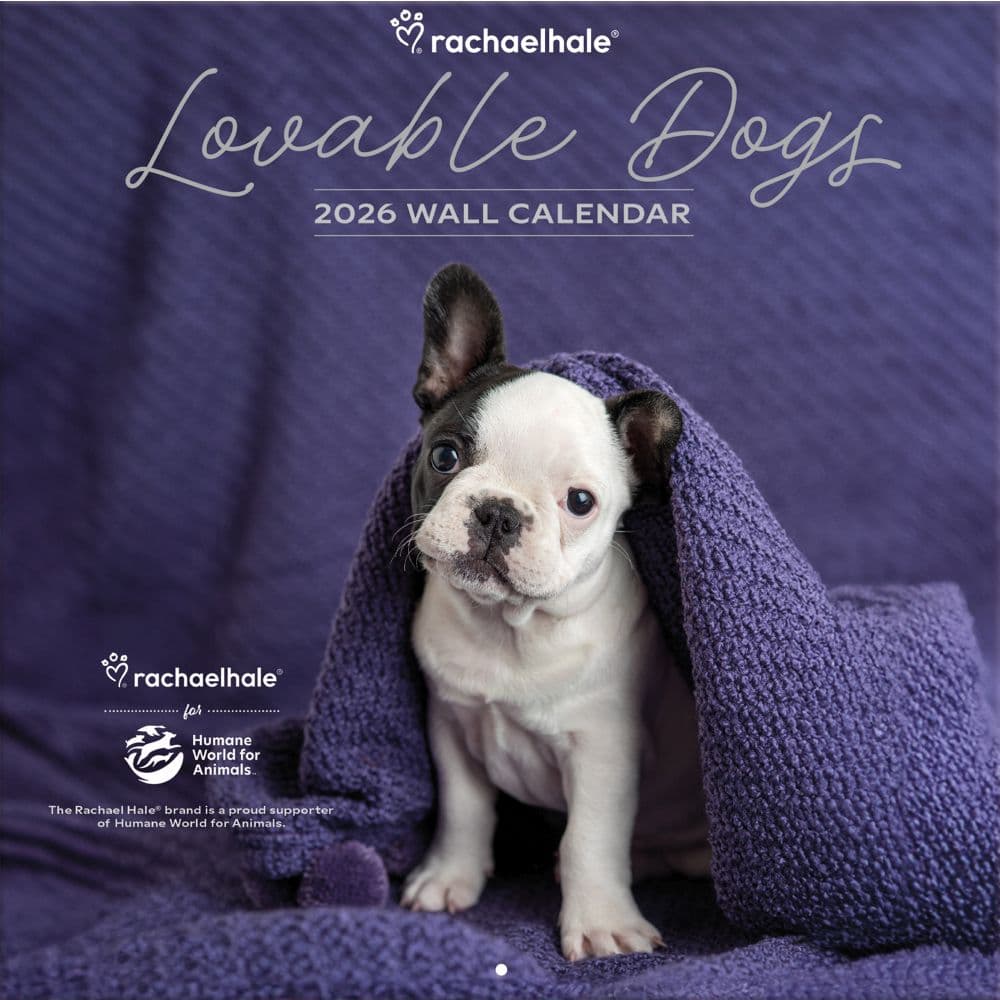 Rachael Hale Loveable Dogs 2026 Wall Calendar Main Product Image