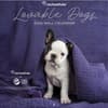 image Rachael Hale Loveable Dogs 2026 Wall Calendar Main Product Image