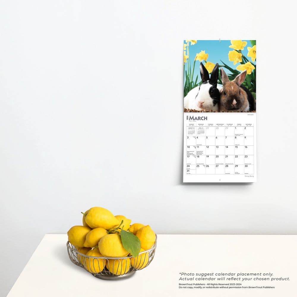 Honey Bunny 2024 Mini Wall Calendar