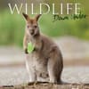 image Wildlife Down Under 2025 Wall Calendar Main Image