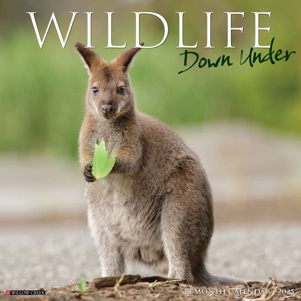 Wildlife Down Under 2025 Wall Calendar Main Image