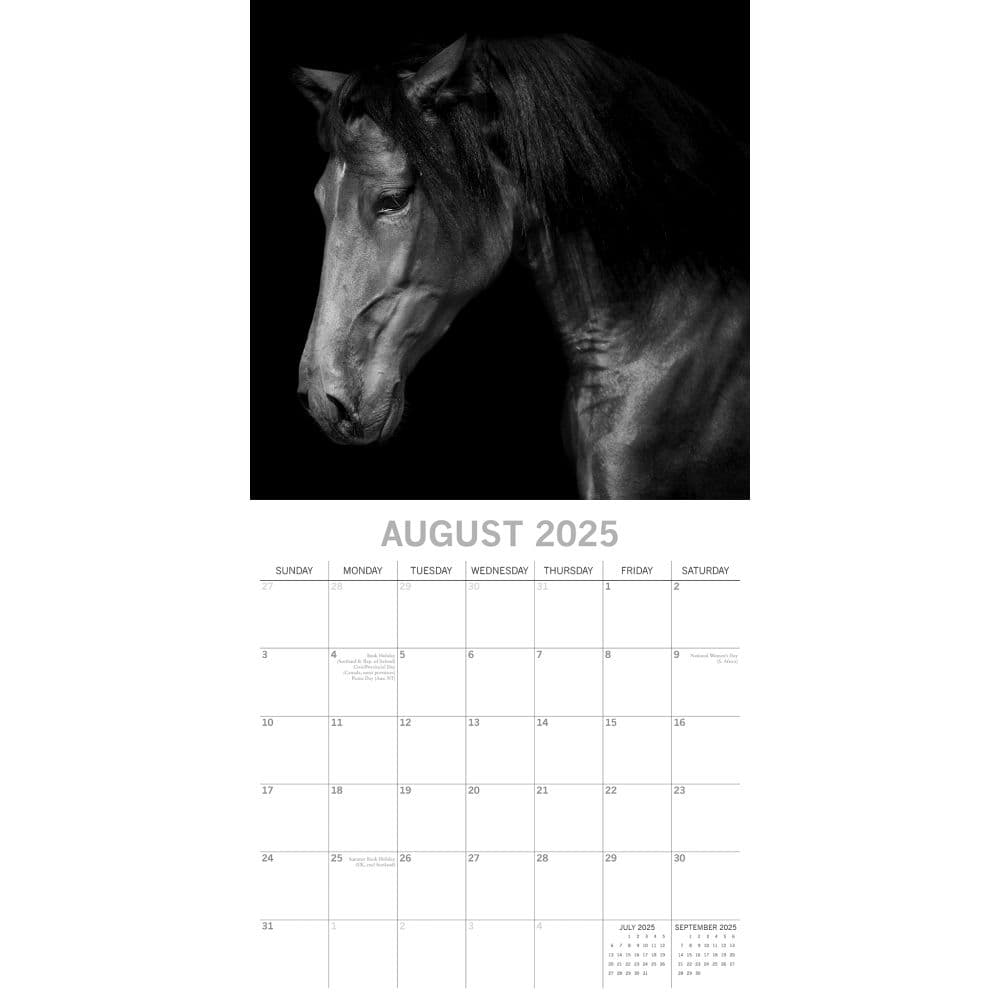 Horse Portraits 2025 Wall Calendar
