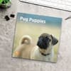 image Pug Puppies 2025 Wall Calendar Fourth Alternate Image