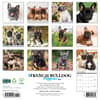 image Just French Bulldog Puppies 2026 Wall Calendar First Alternate Image