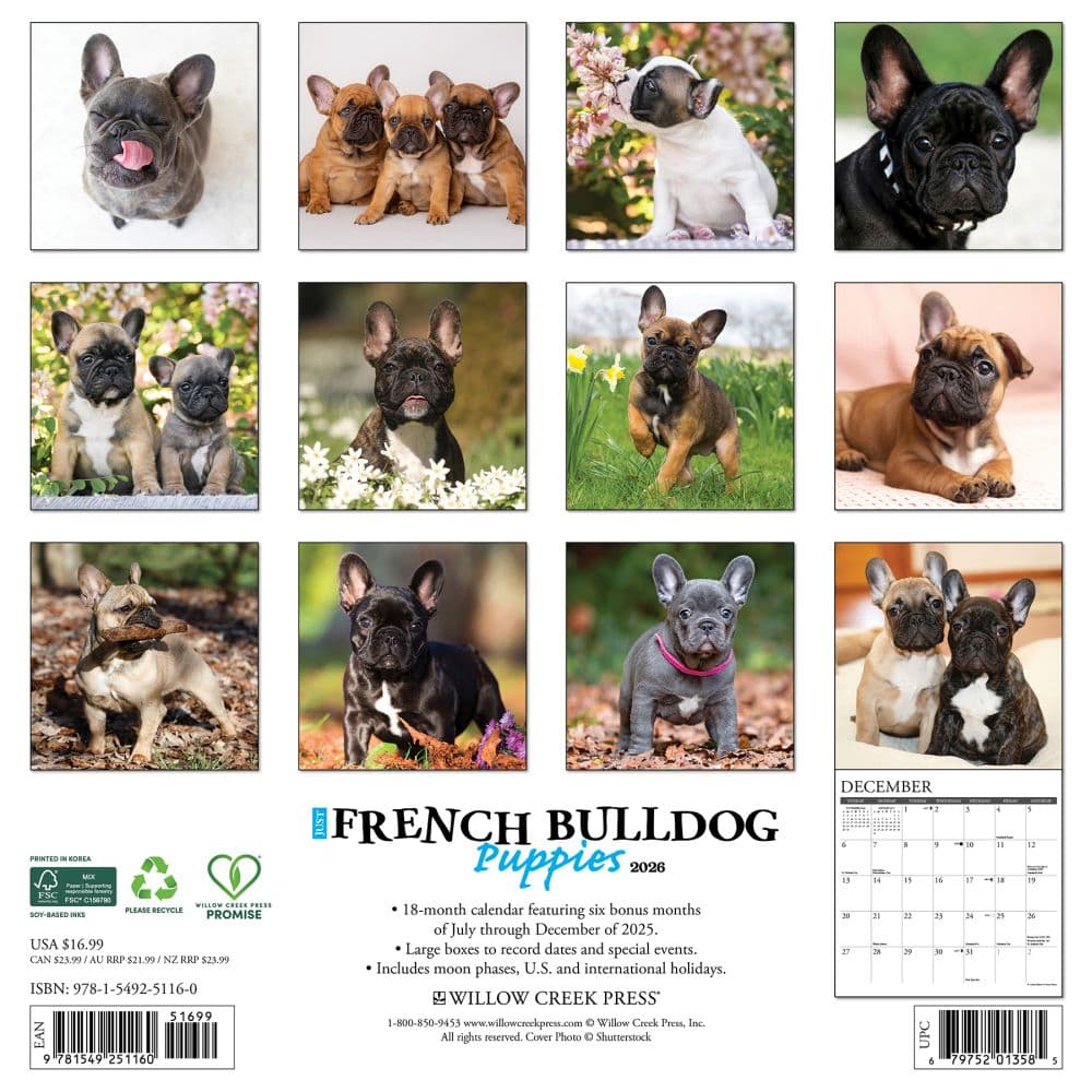 Just French Bulldog Puppies 2026 Wall Calendar First Alternate Image