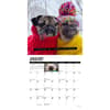 image Doug the Pug 2026 Mini Wall Calendar Second Alternate Image