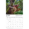 image Sloths WWF 2026 Wall Calendar Third Alternate Image