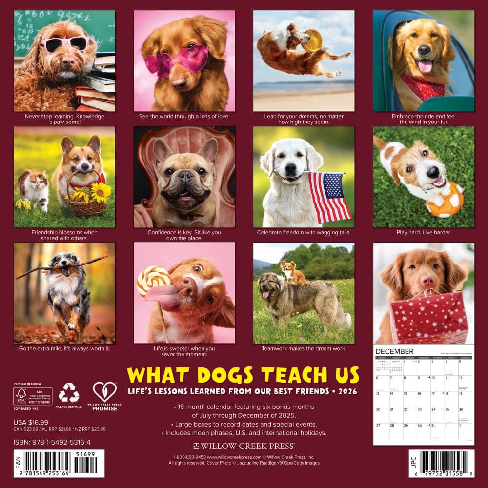 What Dogs Teach Us 2026 Wall Calendar First Alternate Image