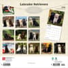 image Lab Retriever 2026 Wall Calendar